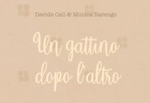 Un gattino dopo l’altro, Davide Calì, Monica Barengo https://amzn.to/4bqfJUl