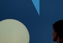 Come la luce tra le foglie, Joyce Mainard