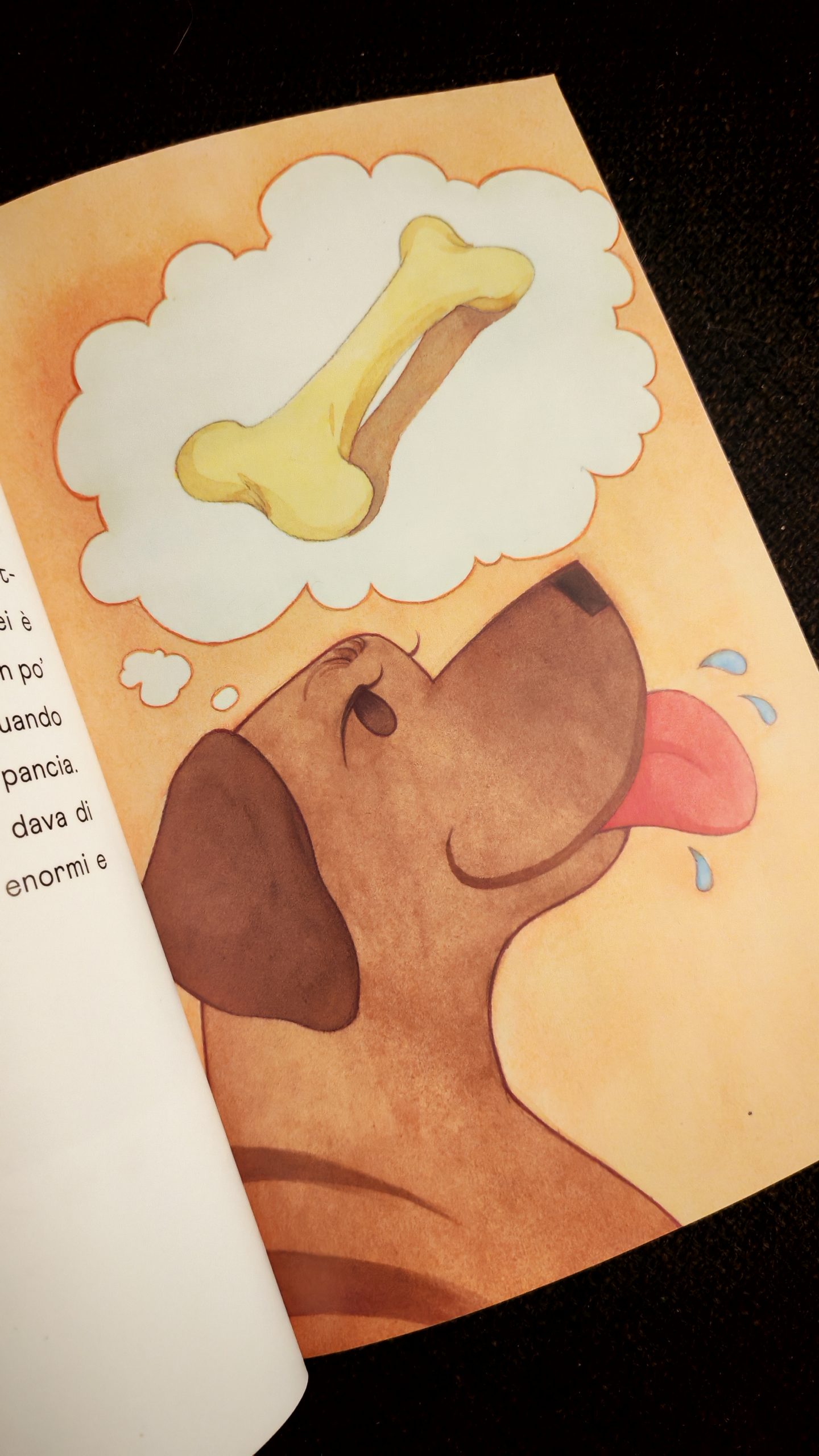 Le avventure di Noa, Alessandra Agostinelli